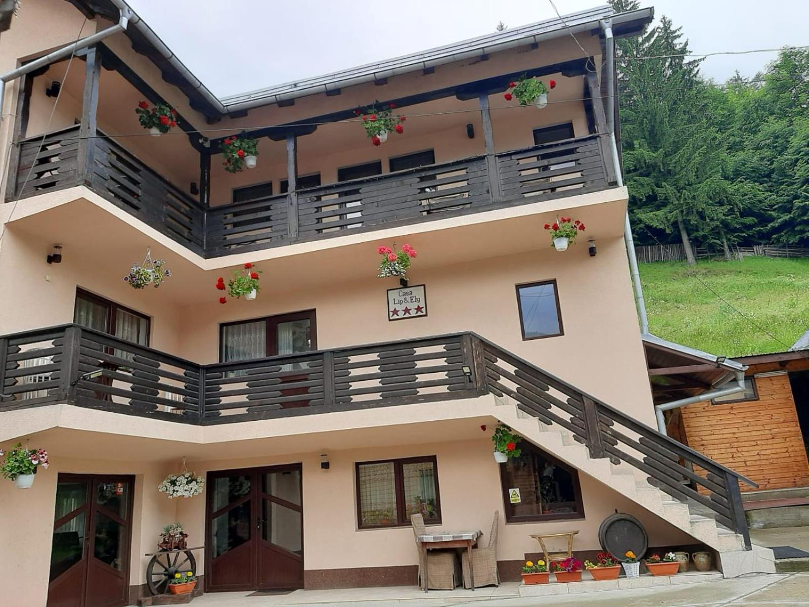 Hotel Lip Si Ely Dîmbovicioara Esterno foto